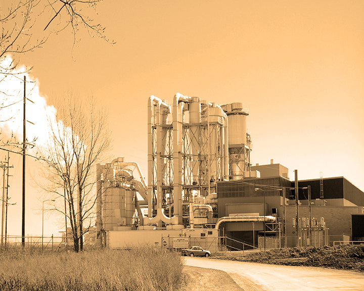 Abandoned Buffalo, Artwork by Andrea Cox, Lackawanna Factory